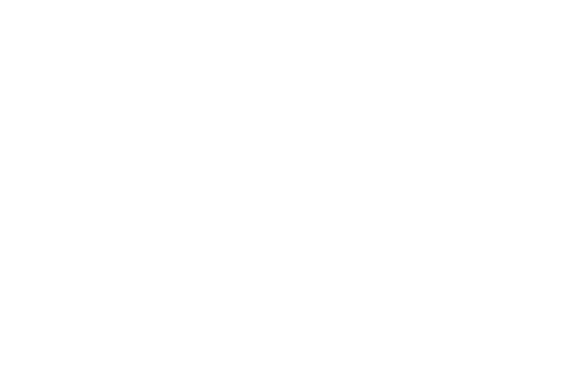 Beef Export Group