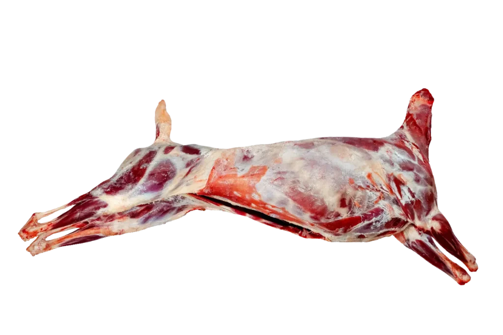 Туша баранина