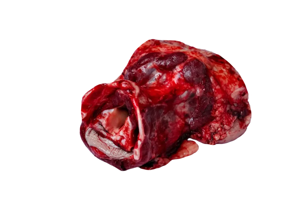 Калтык говяжий