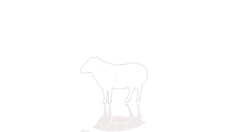 Баранина оптом