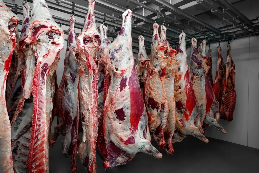 Тушевое мясо