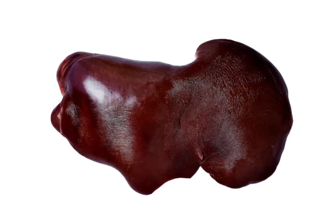 Печень говяжья