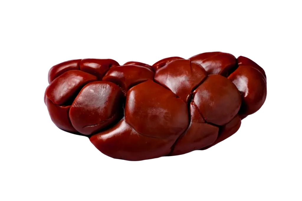 Почка говяжья