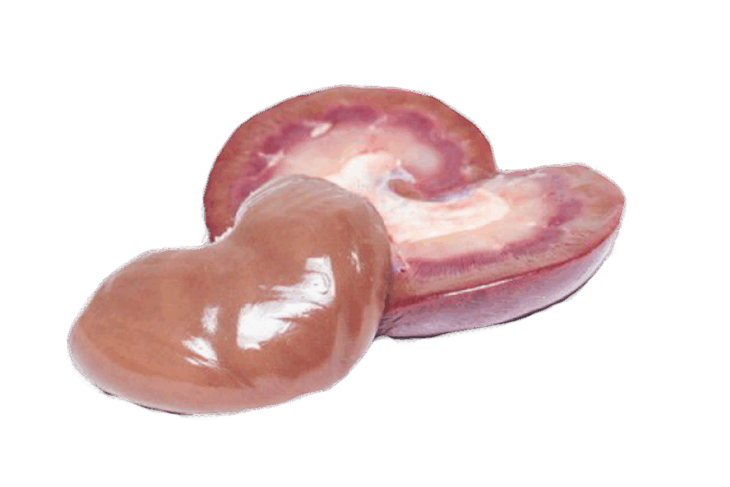 Почки бараньи