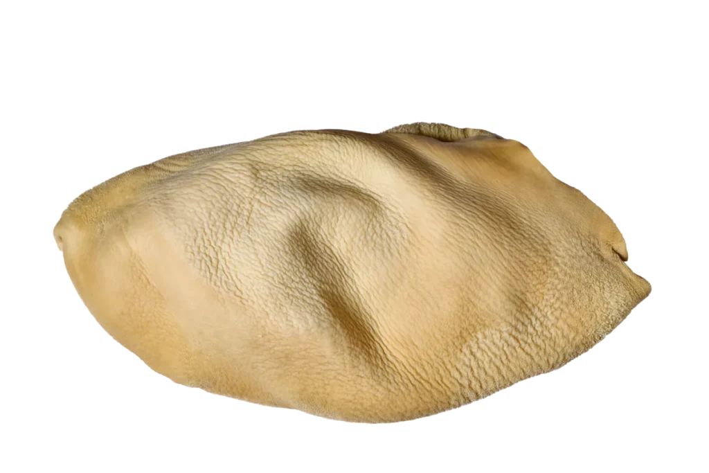 Рубец говяжий не обработанный