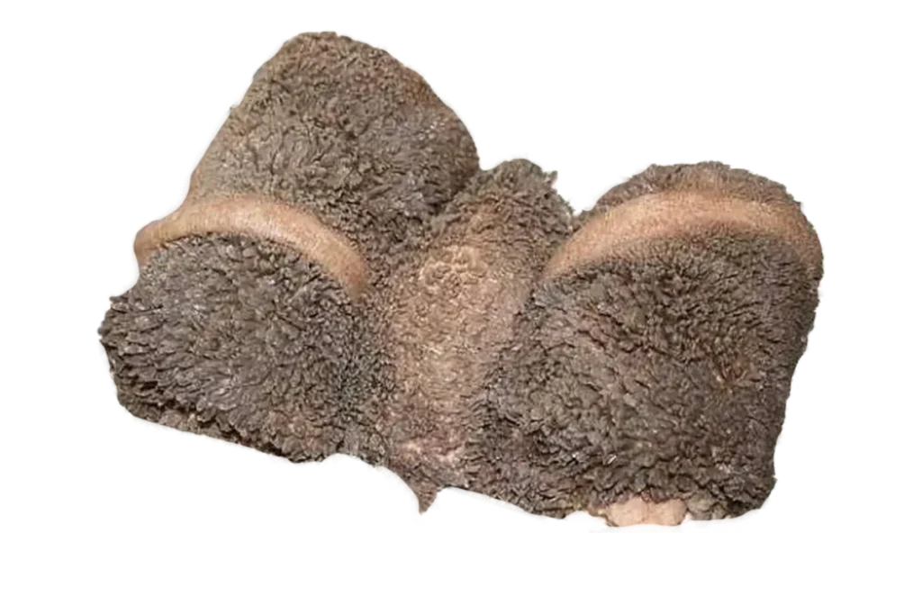 Рубец необработанный