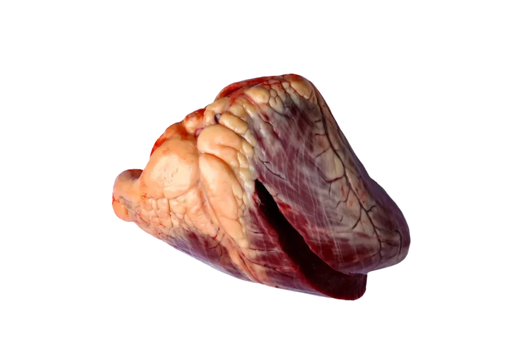 Сердце говяжье