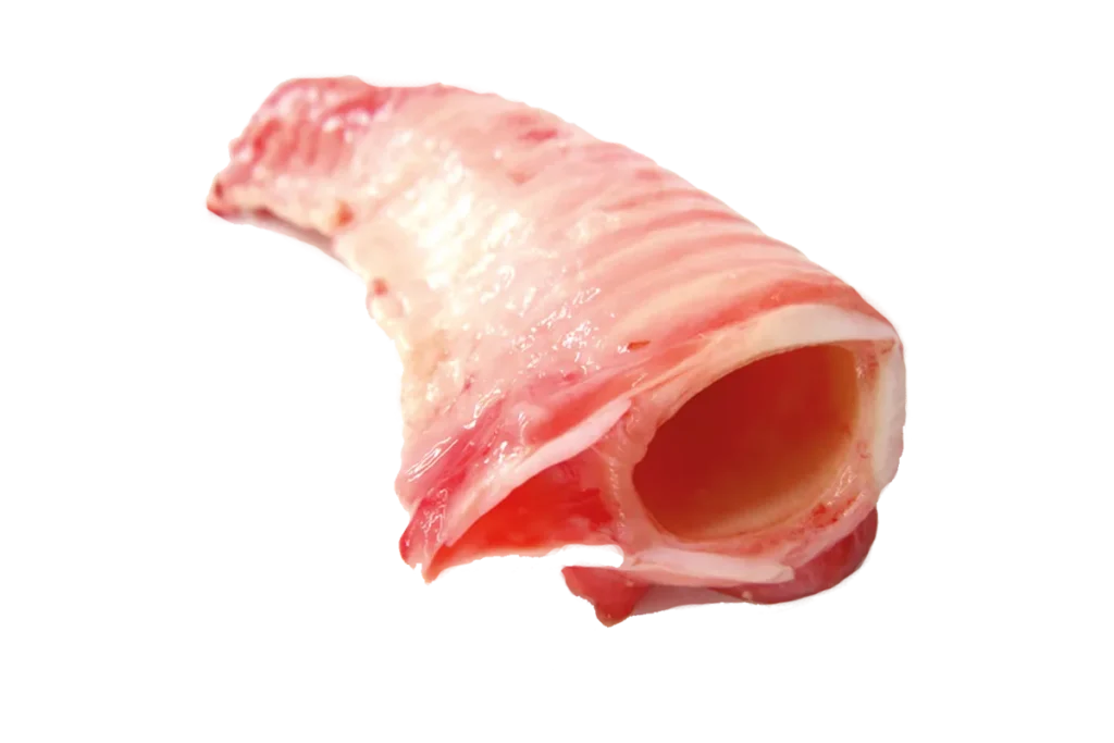 Трахея говяжья