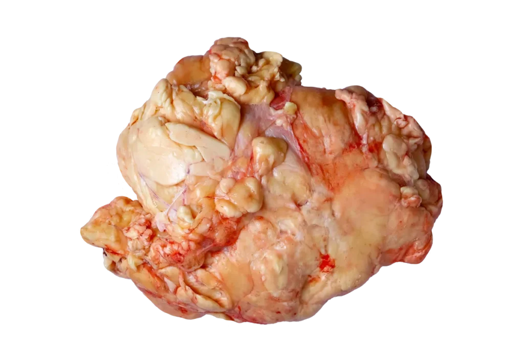 Жир внутренний говяжий